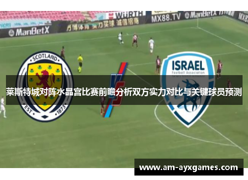 莱斯特城对阵水晶宫比赛前瞻分析双方实力对比与关键球员预测 莱斯特城对阵水晶宫比赛前瞻分析双方实力对比与关键球员预测