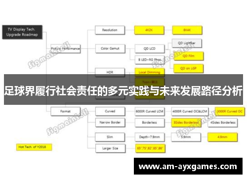 足球界履行社会责任的多元实践与未来发展路径分析 足球界履行社会责任的多元实践与未来发展路径分析