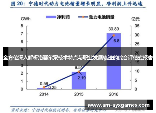 全方位深入解析洛塞尔索技术特点与职业发展轨迹的综合评估式报告 全方位深入解析洛塞尔索技术特点与职业发展轨迹的综合评估式报告