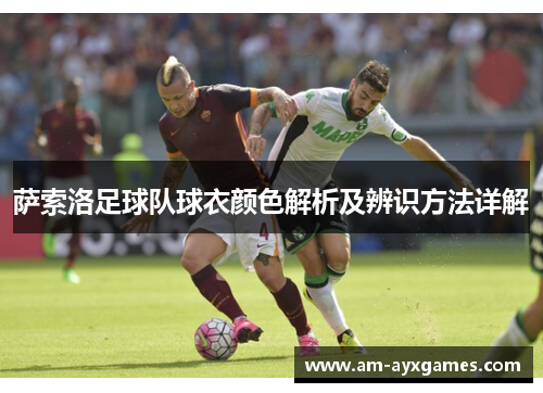 萨索洛足球队球衣颜色解析及辨识方法详解