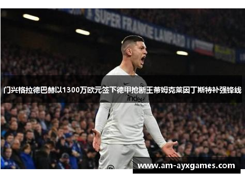 门兴格拉德巴赫以1300万欧元签下德甲抢断王蒂姆克莱因丁斯特补强锋线